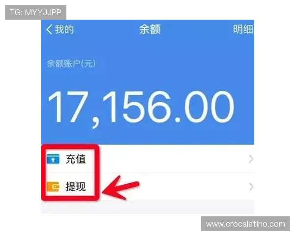 利记官网支付方式多样化支持多平台快速充值与提现 利记官网支付方式多样化支持多平台快速充值与提现