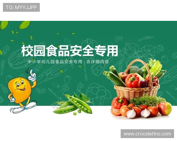 好博体育官网登录流程详解，确保每次登录都安全顺畅无忧