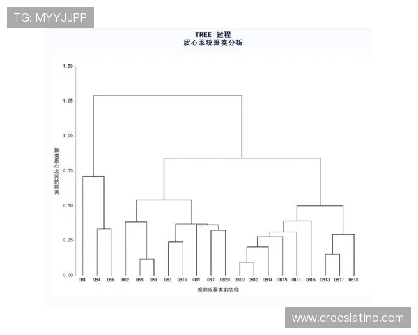 球探网老版即时比分常见问题解答，解决用户在使用过程中遇到的各种疑问